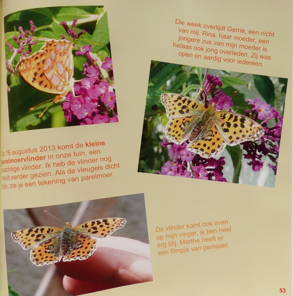 foto van pagina 53 van het boek Contact met de ziel van Leonoor, 30 x 30 cm