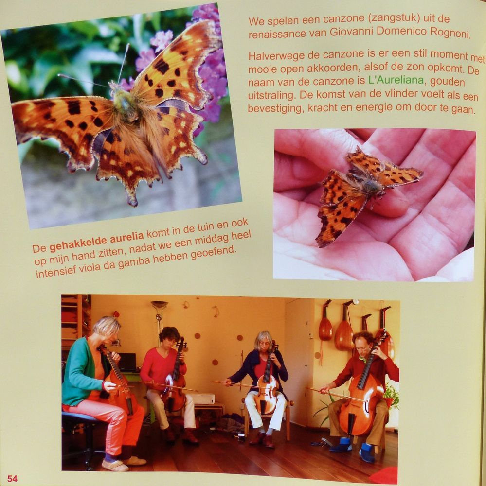 foto van pagina 54 van het boek Contact met de ziel van Leonoor, 30 x 30 cm