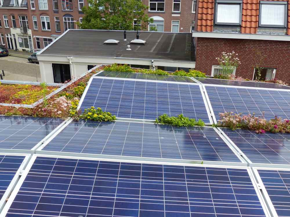 foto 4, groen dak en zonnepanelen, 7 juli 2016